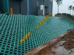 常用的手机看片福利AV种类有哪些